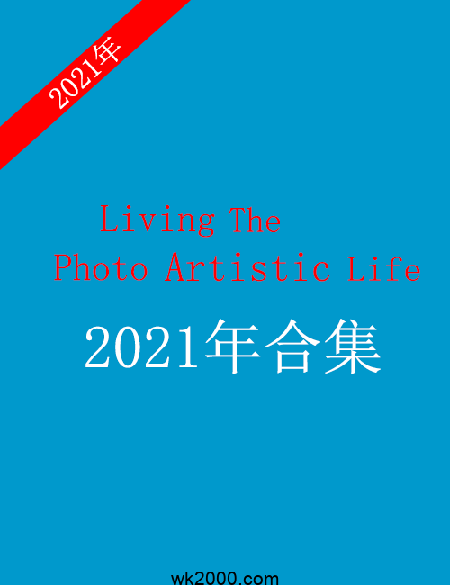 摄影艺术 Living The Photo Artistic Life-2021年合集下载